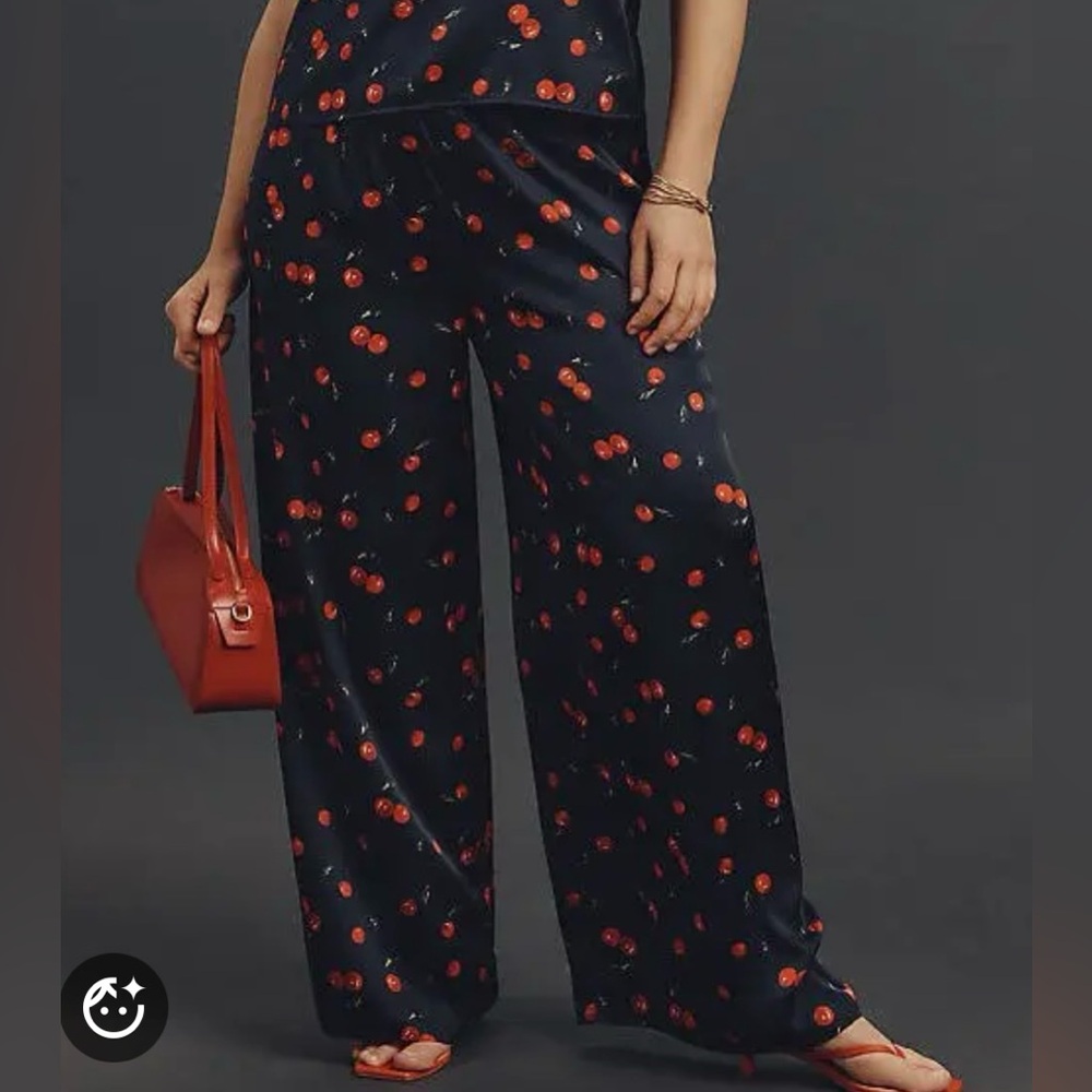 Hutch Anthropologie Cherry Pants Size 2X NWOT